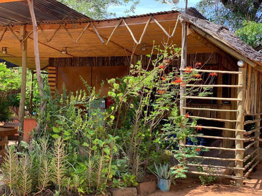 Jungle Breeze Home Stay Kasane Exterior foto